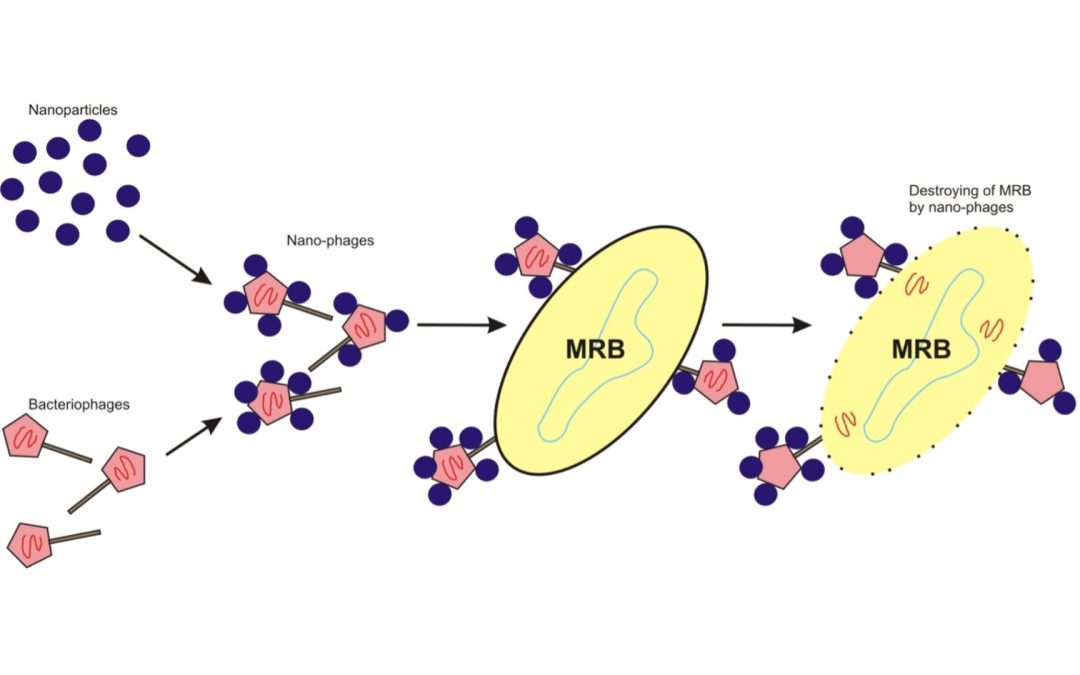 “Nano-phages” – Taxi Drivers Delivering Silver Nanoparticles to the Site of Infection