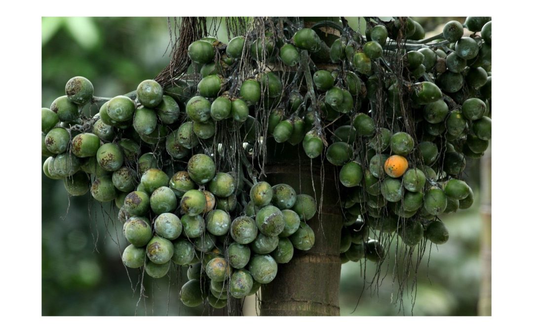 Popular tradition linked to shocking increase in cancer cases