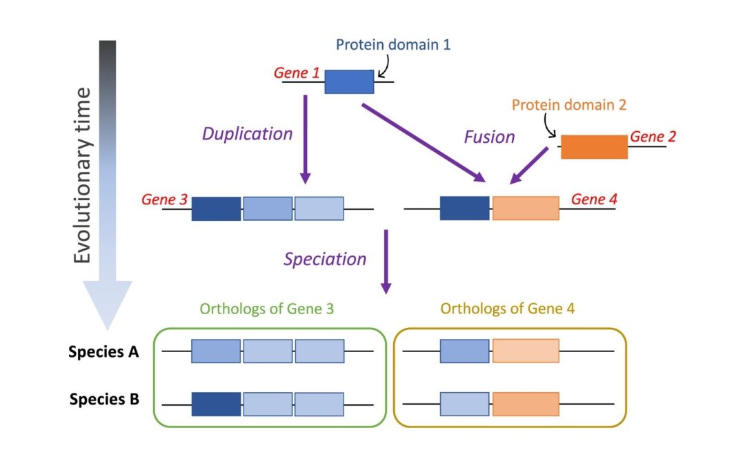 Clues From Ancient Proteins Reveal How Life Actually Began